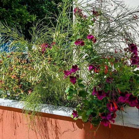 Veronika Apartman Dubrovnik