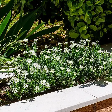 Veronika アパート *